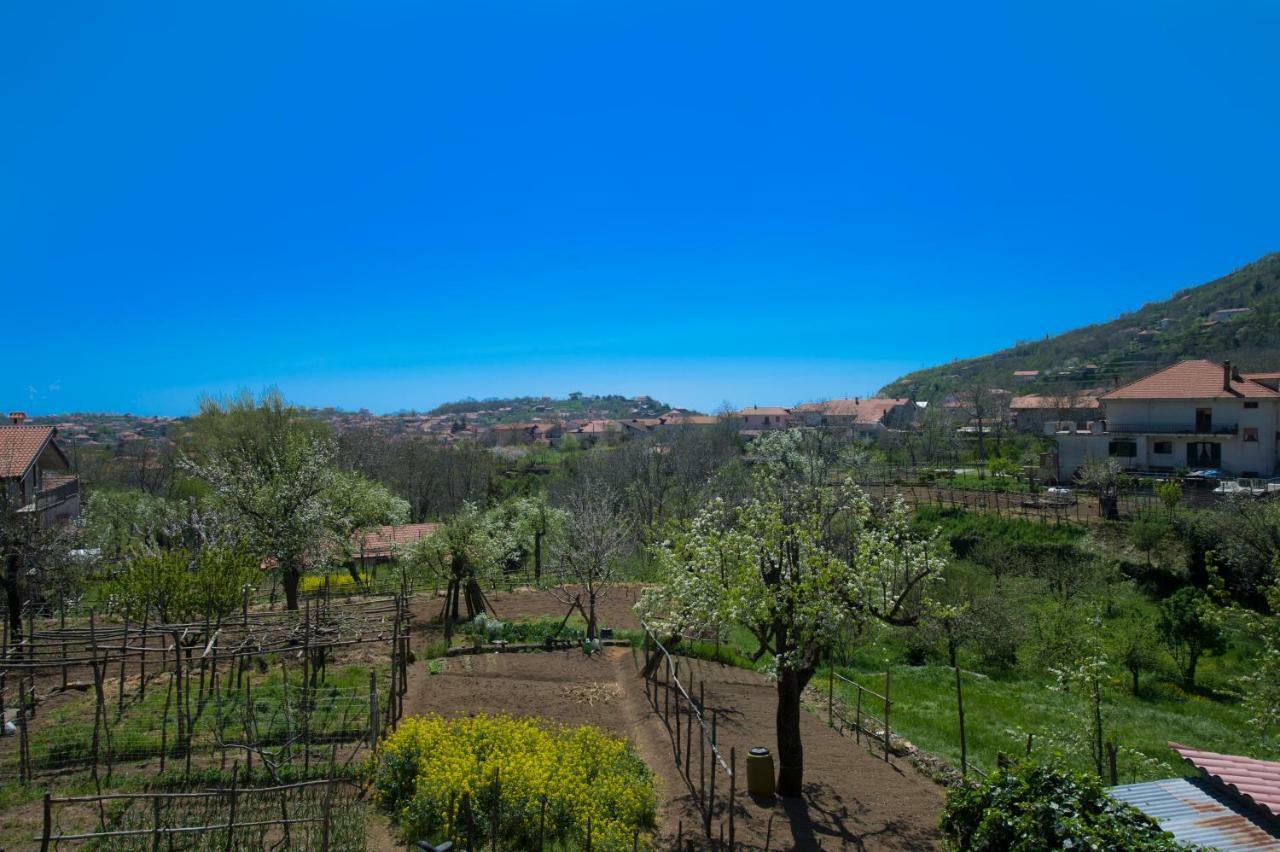 Al Cortile Di Nonno Luigi Villa Agerola Exteriör bild